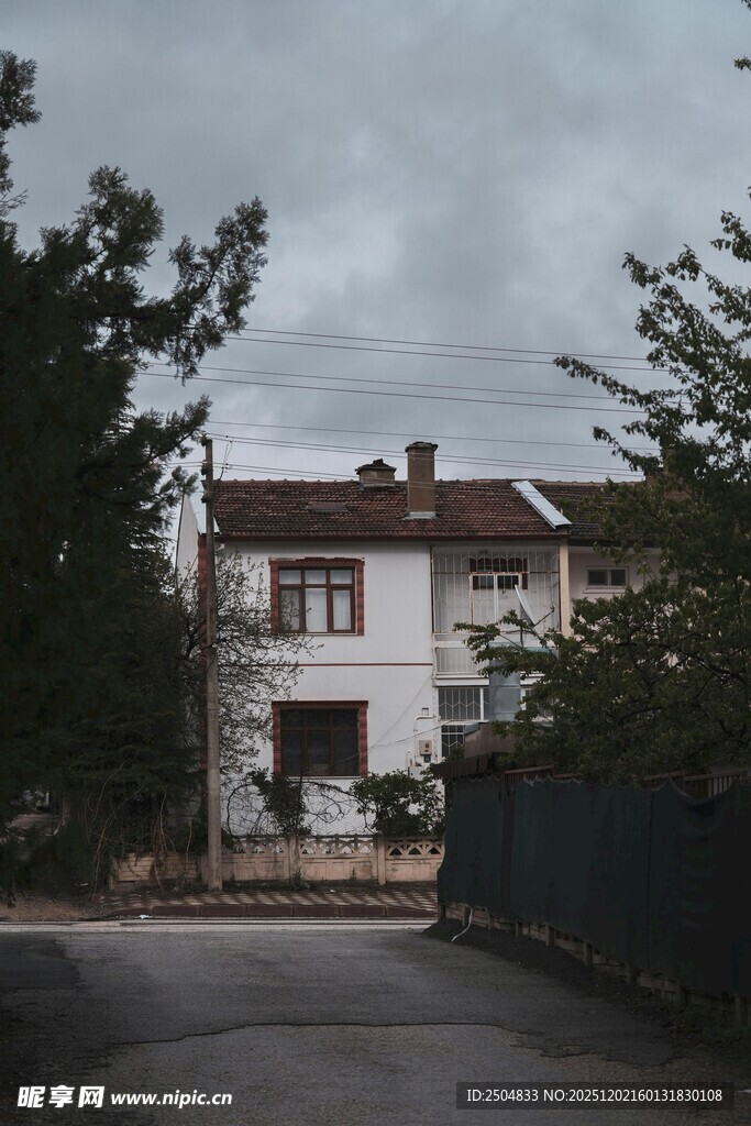 宁静街道旁的白色住宅