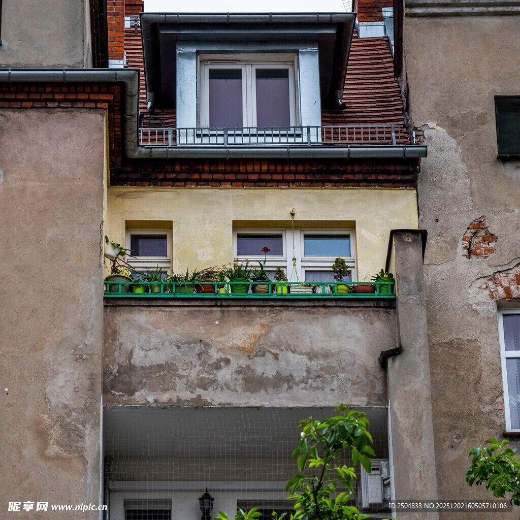 复古建筑的绿植阳台