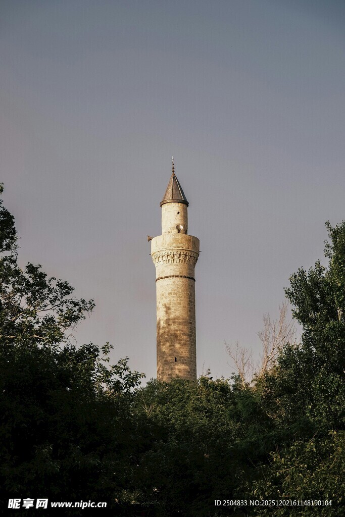 高耸的塔楼隐于绿树间