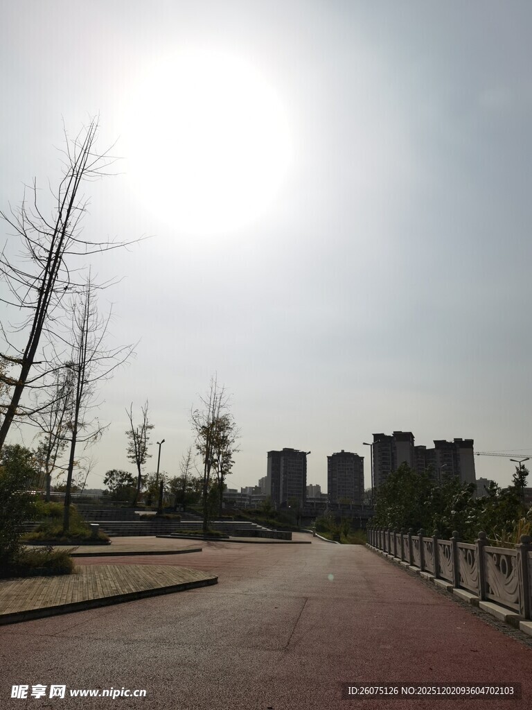 阳光照耀下的空旷道路