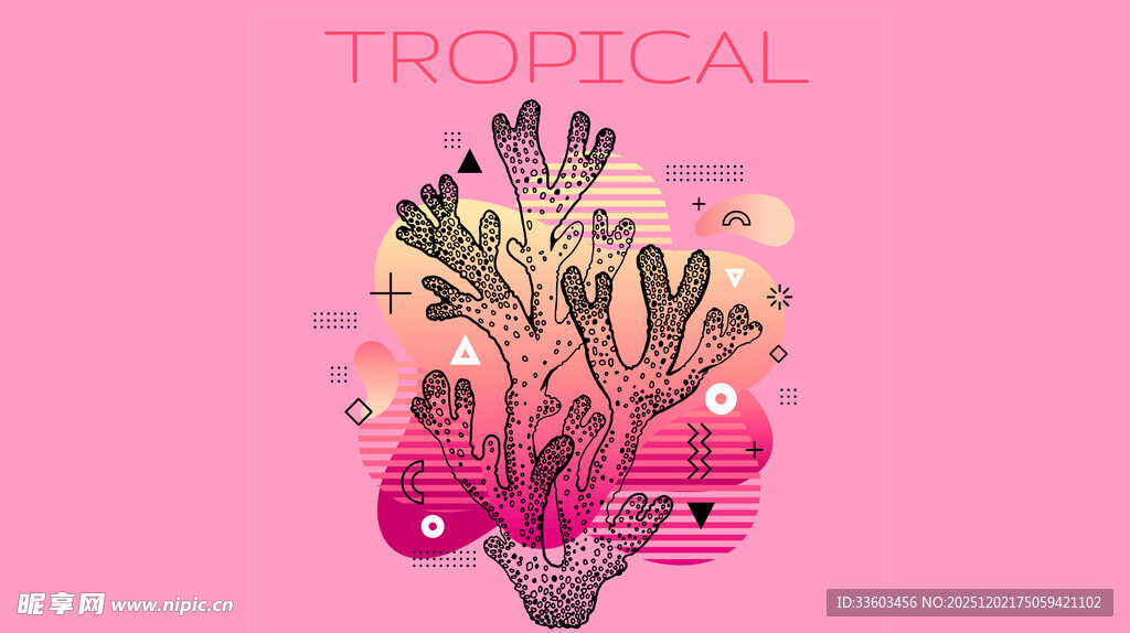 热带风多彩仙人掌插画