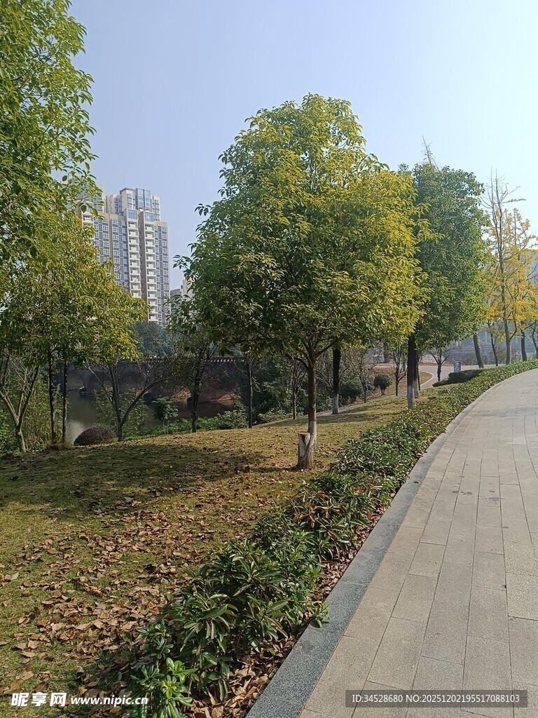 秋日公园林荫小道景观