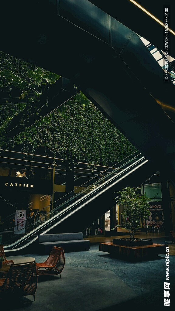 商场扶梯