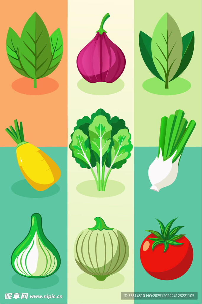 多彩蔬菜集合