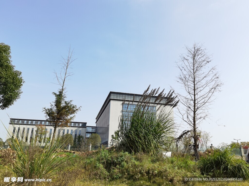 郊外现代建筑与绿植景观