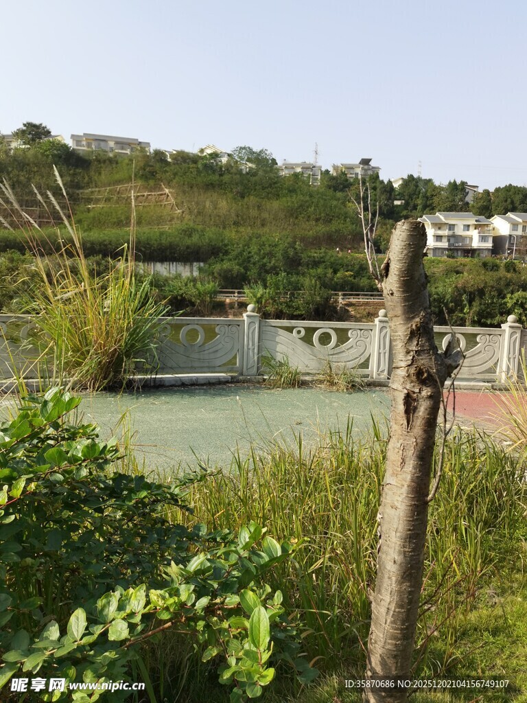 乡村水坝旁的自然景致