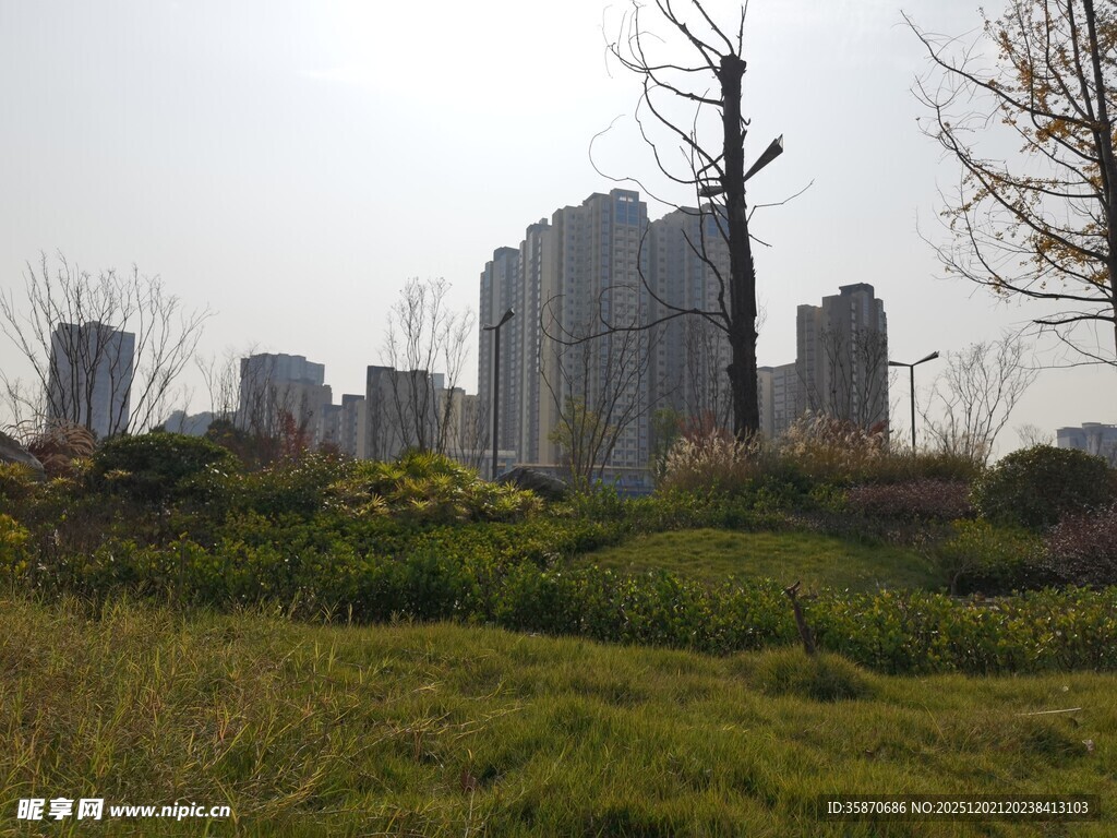 城市边缘的草地与高楼