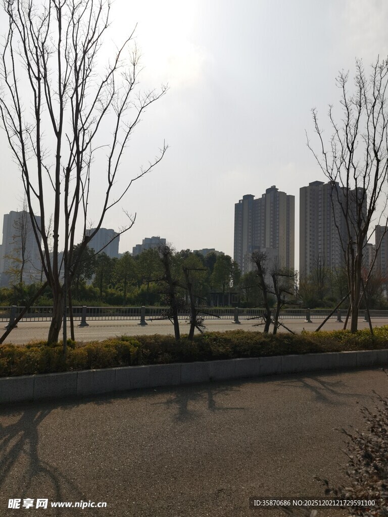 城市冬日路边的萧瑟景象