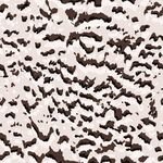 浅绿色纹理抽象背景图案