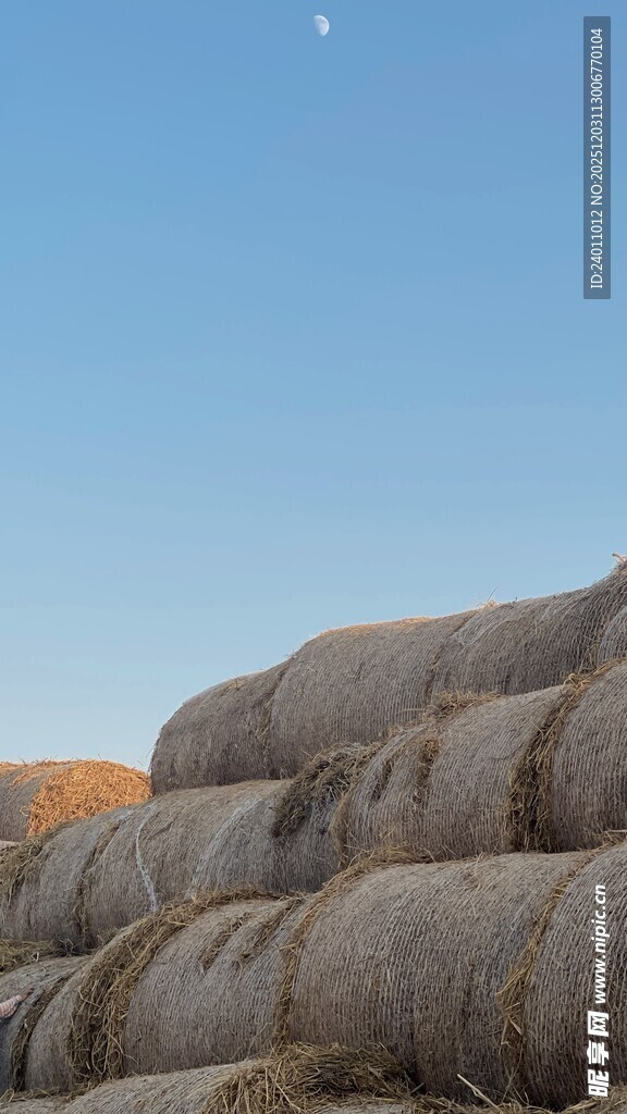 田野上的干草垛与天空