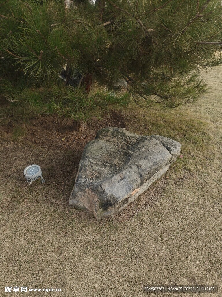 户外草地旁的灰色大石头