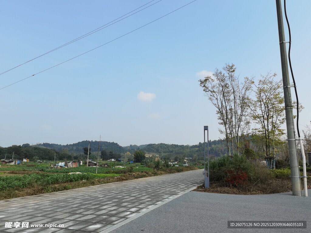 乡村公路风景