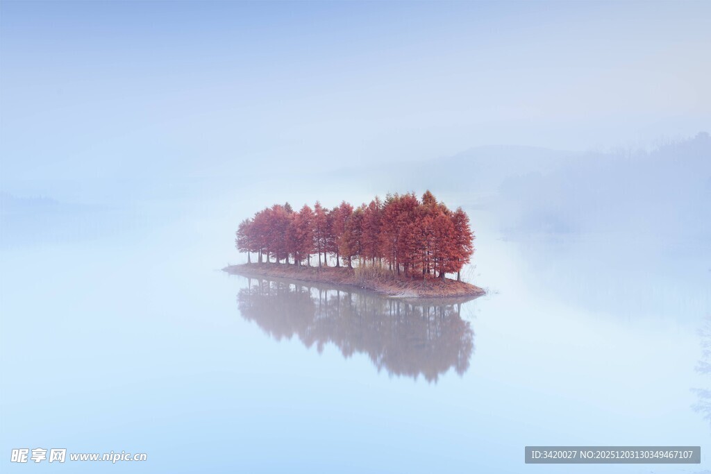 雾中红树映于平静水面