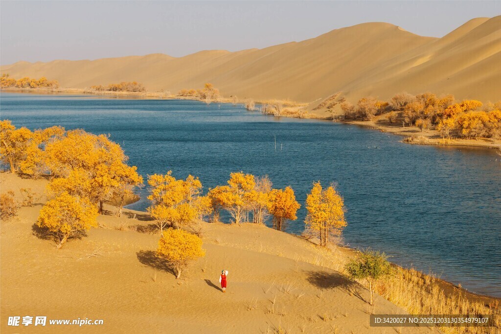 沙漠湖畔的金黄秋色