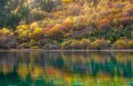 秋日湖畔斑斓美景