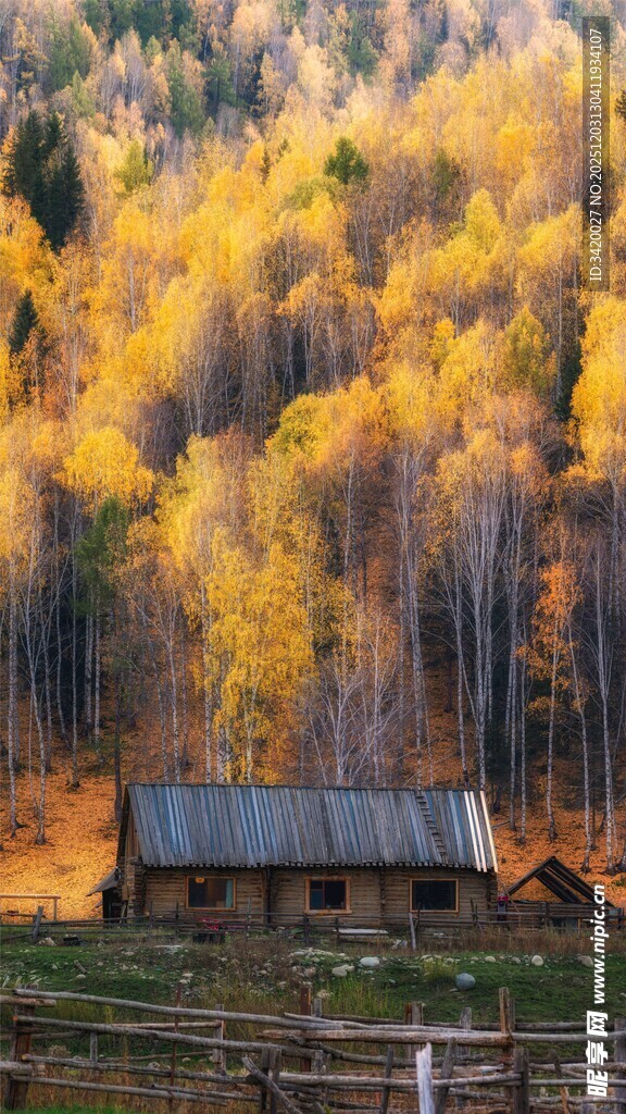 秋日山林中的古朴小屋