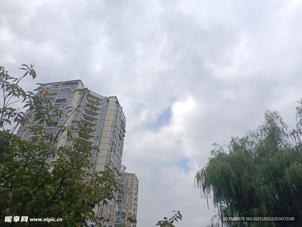 高楼旁绿树与云天景象