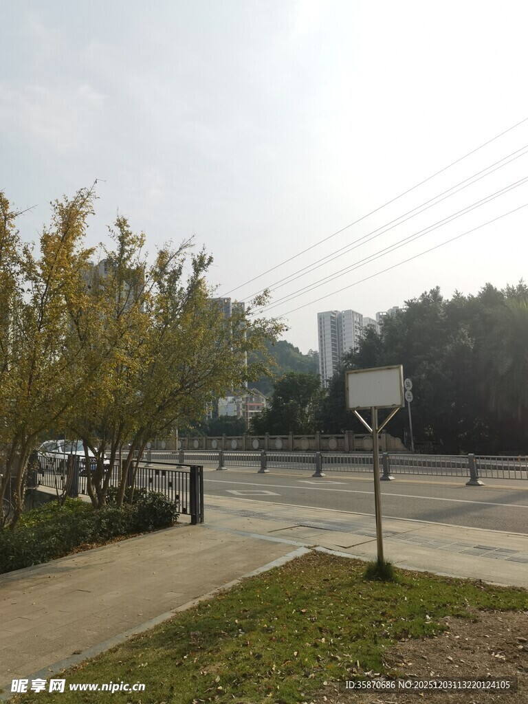 户外道路旁的秋日景致