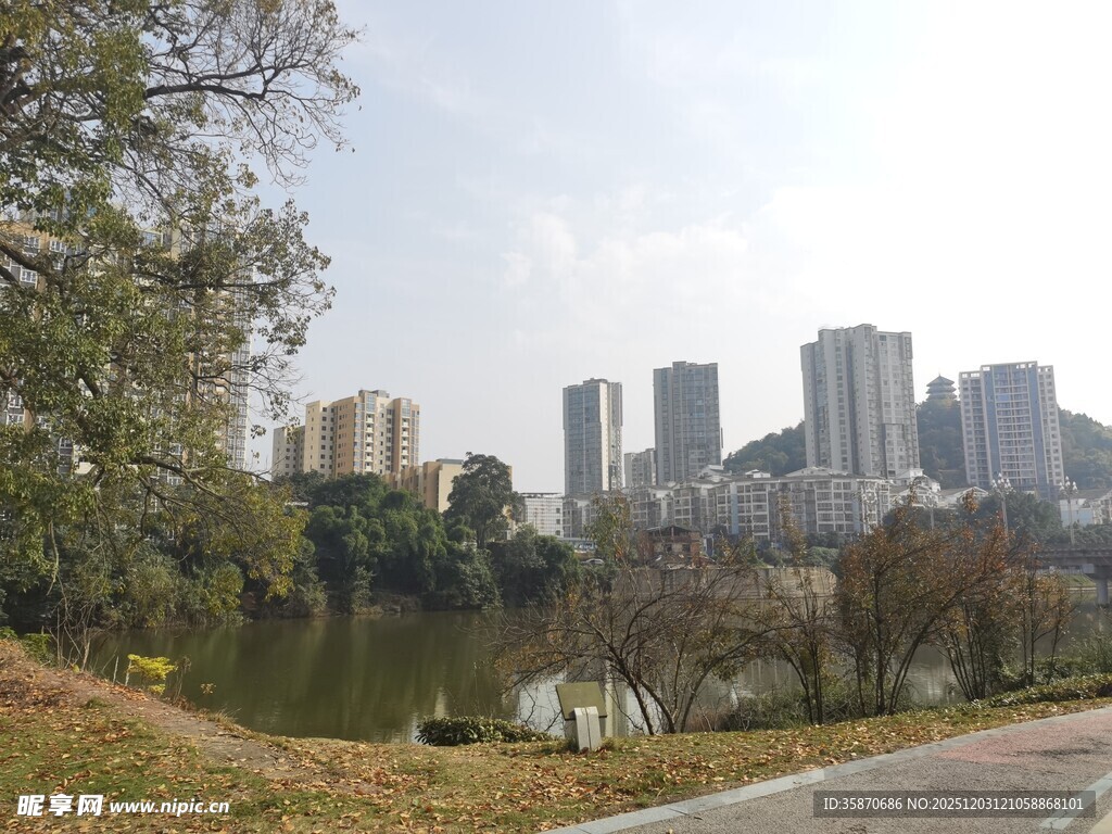 城市湖畔风光
