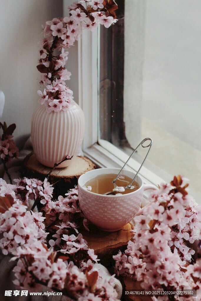 窗边樱花与温馨下午茶