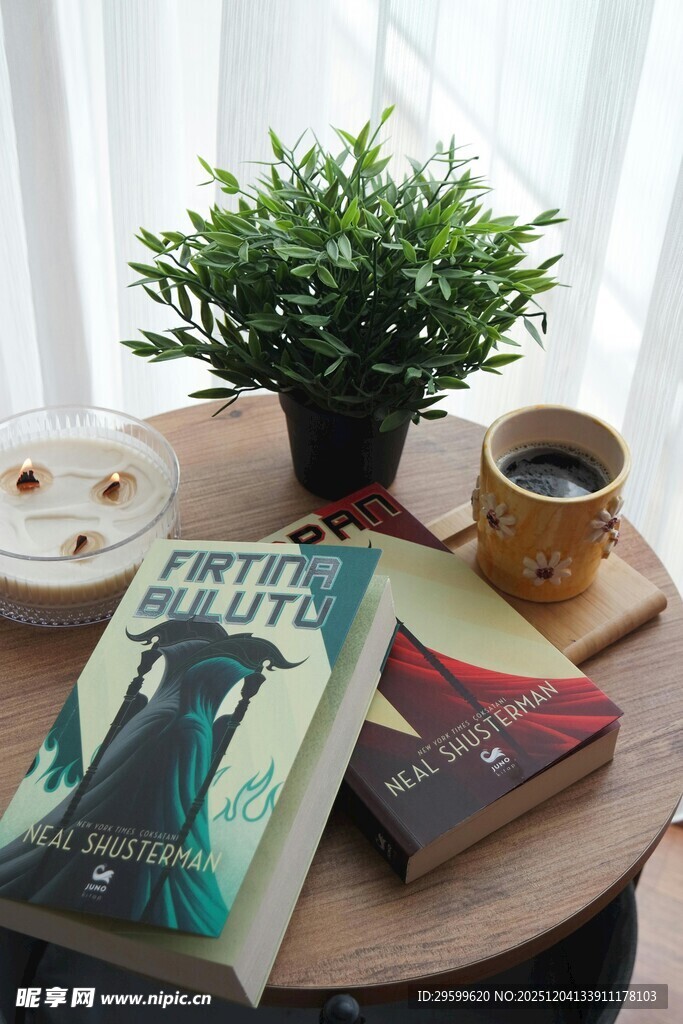 静谧角落的阅读时光