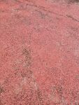 红色砂石路面特写