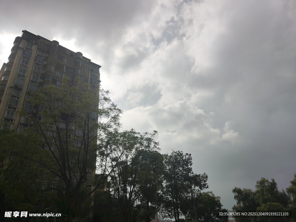 阴云下的高楼与树木