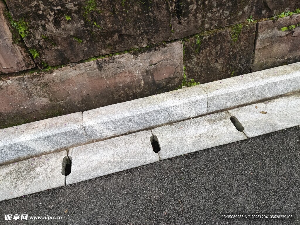 路边石上停歇的几只小鸟