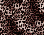 豹纹图案纹理