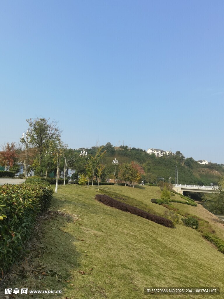 户外绿意盎然的美丽景致