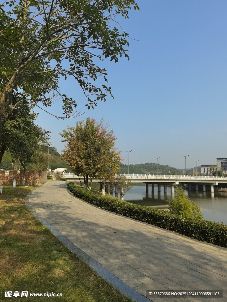 河畔林荫步道风景