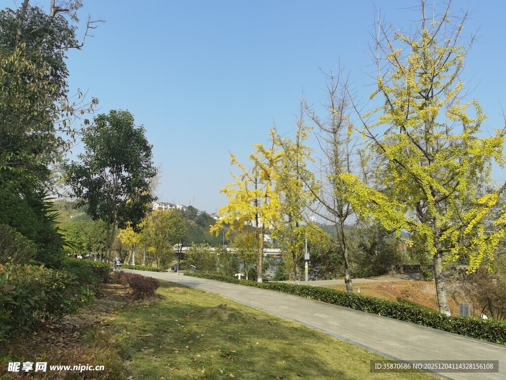 秋日林间小道美景