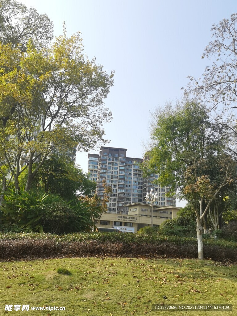 城市中的绿地与建筑景观