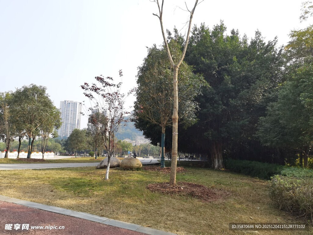 城市公园绿意景观