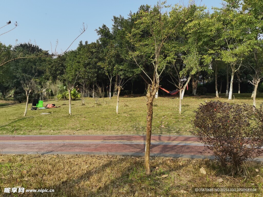 公园绿意盎然的休闲场景