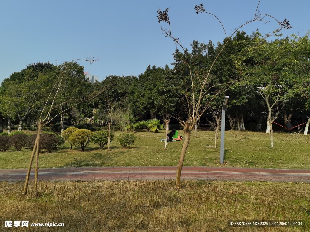 公园绿意盎然的休闲场景