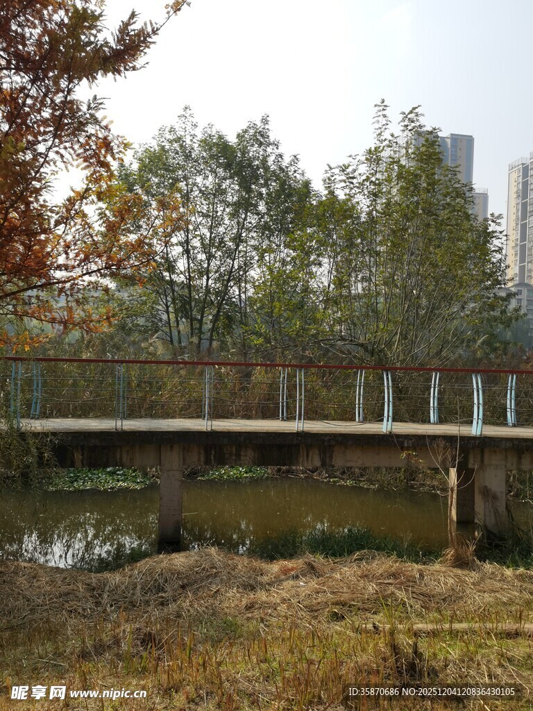 秋日郊野中的简易木桥