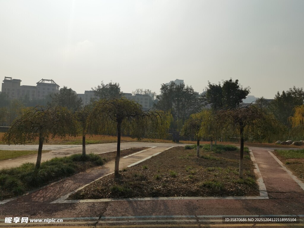 秋日公园景观俯瞰