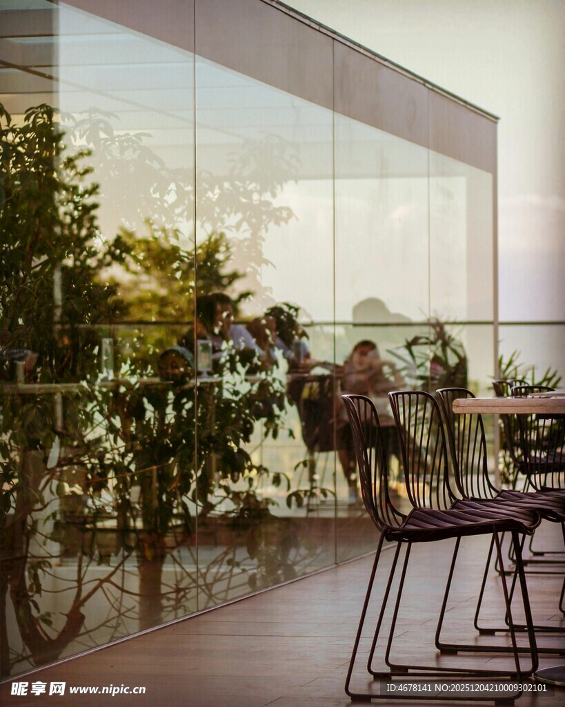 室内绿植与简约座椅景观