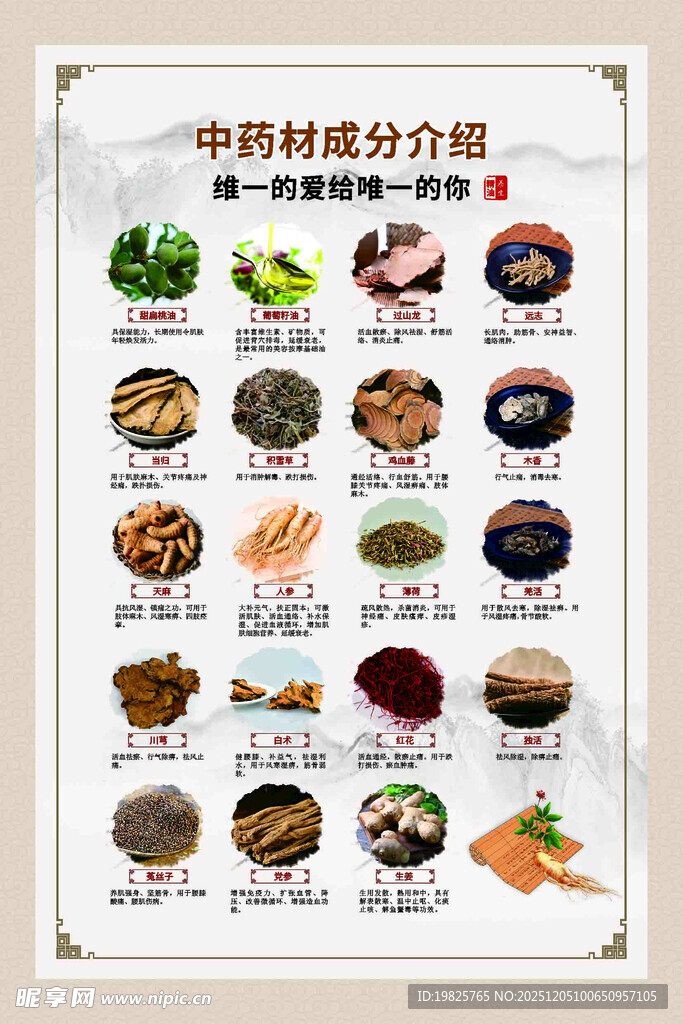 中药材介绍