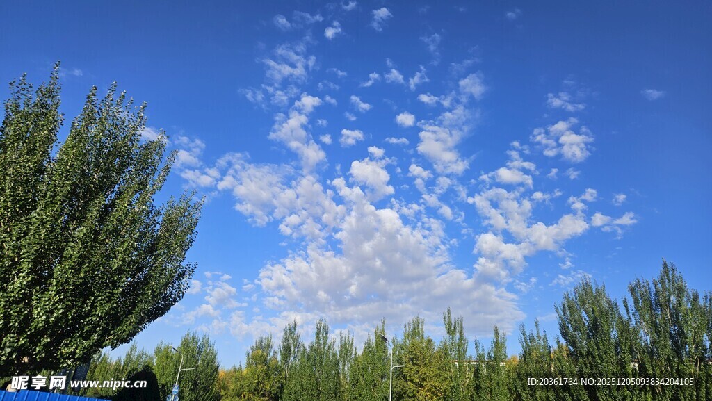 蓝天绿树间的清新景致