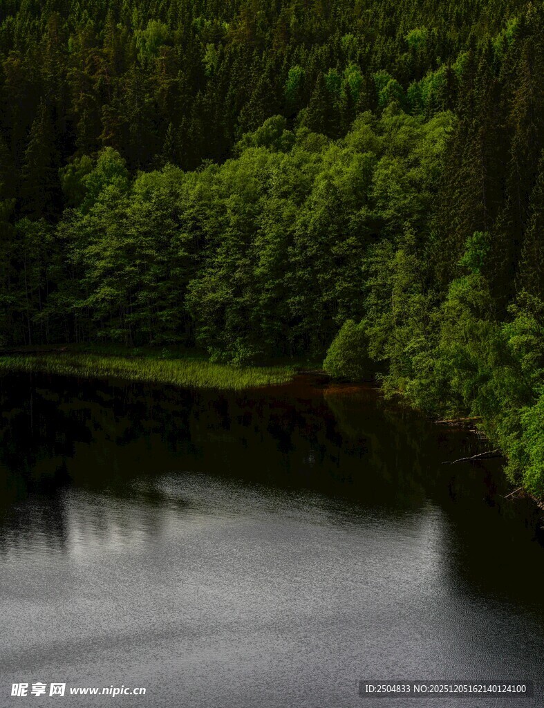 静谧森林旁的清幽湖水