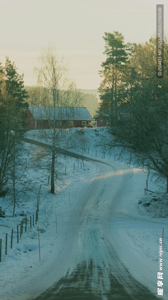 冬日雪覆林间小路