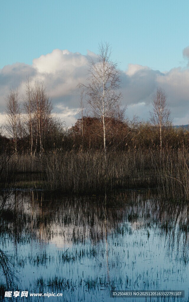 宁静湖畔的冬日风光