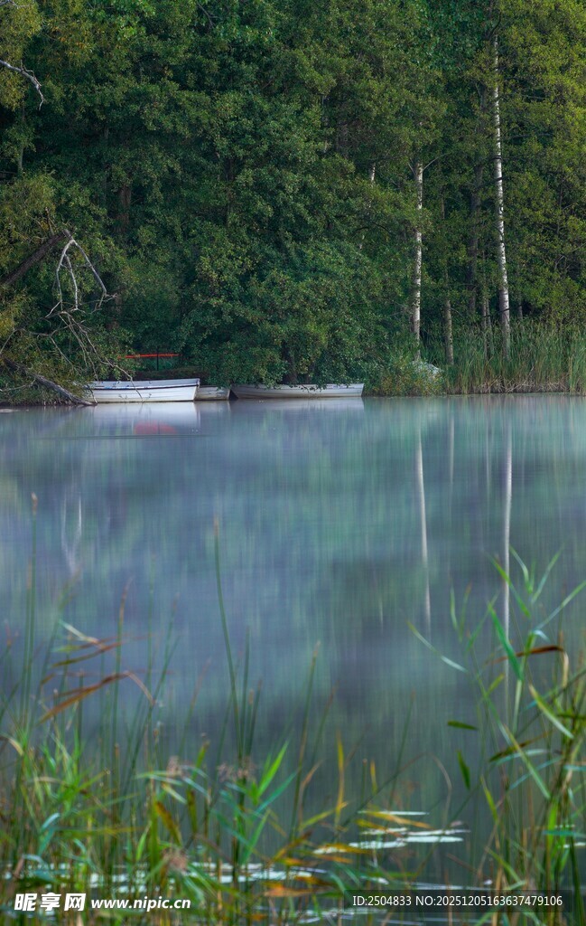 静谧湖畔森林晨景