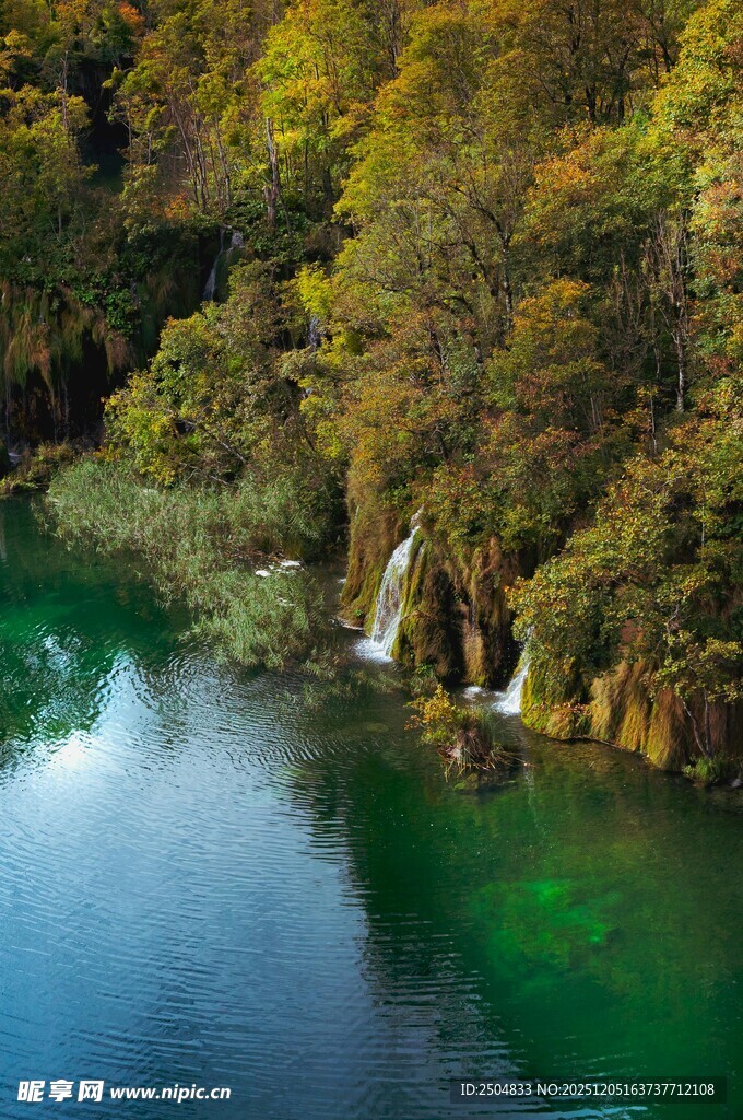 秋日山林中的静谧绿水