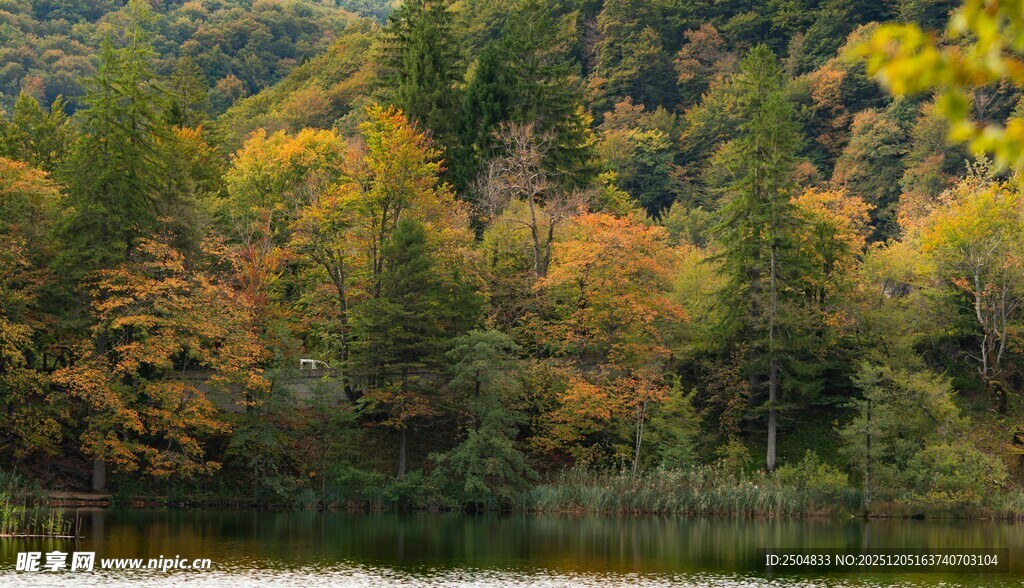秋日山林湖畔美景