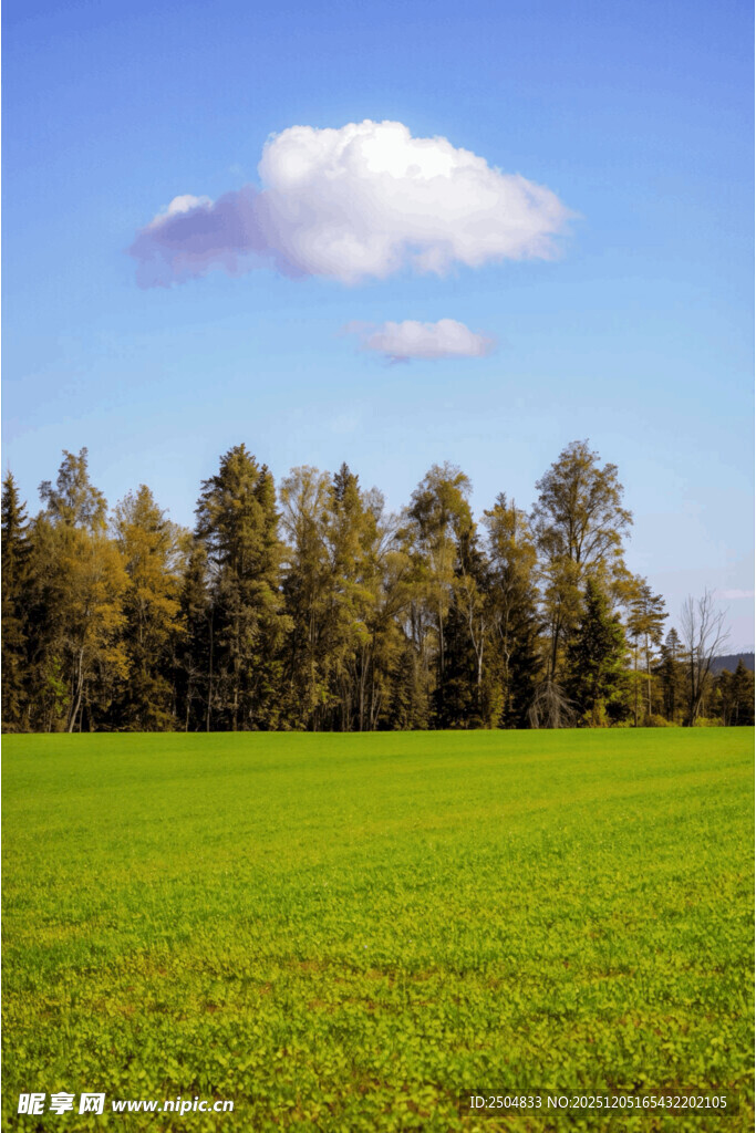 绿野蓝天树木的自然美景