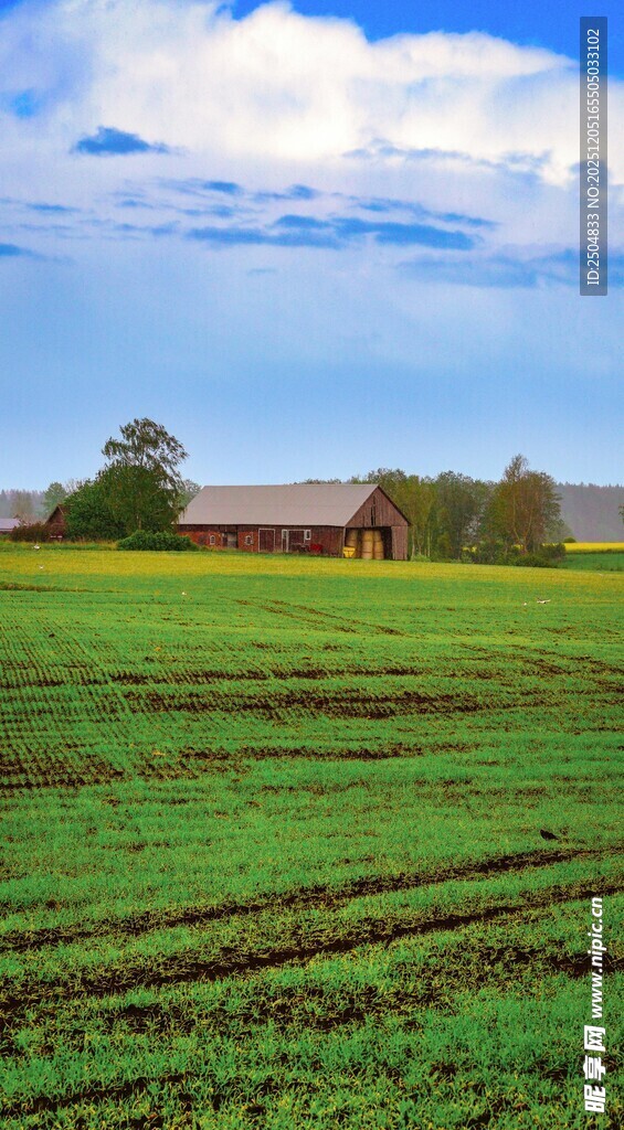 田园风光中的乡村景致
