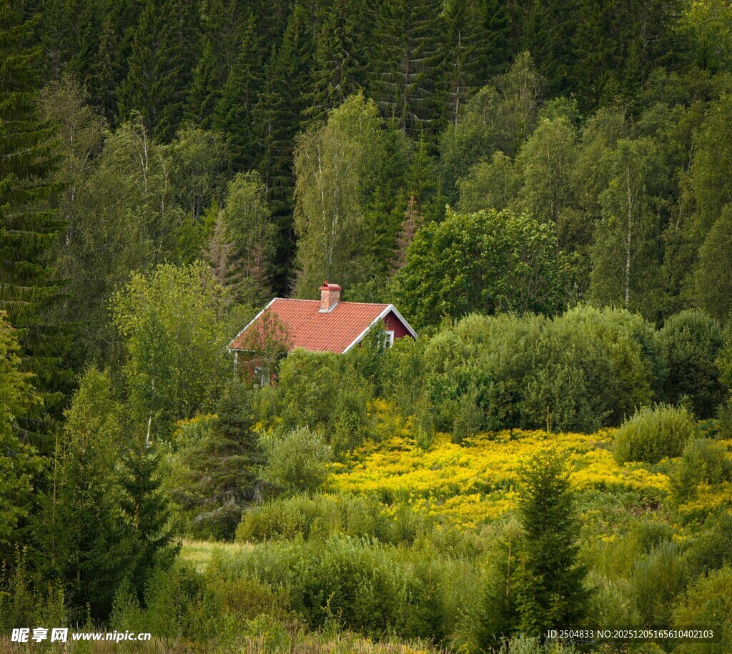 林间小屋 繁花绿树环绕